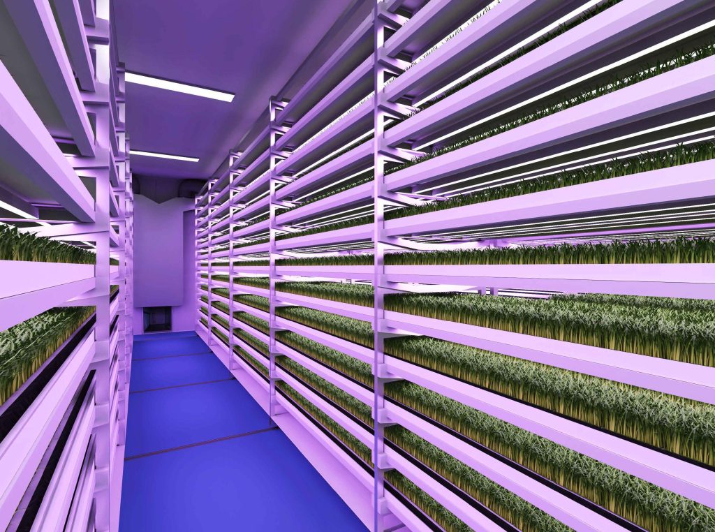 Indoor vertical farming at Viverda