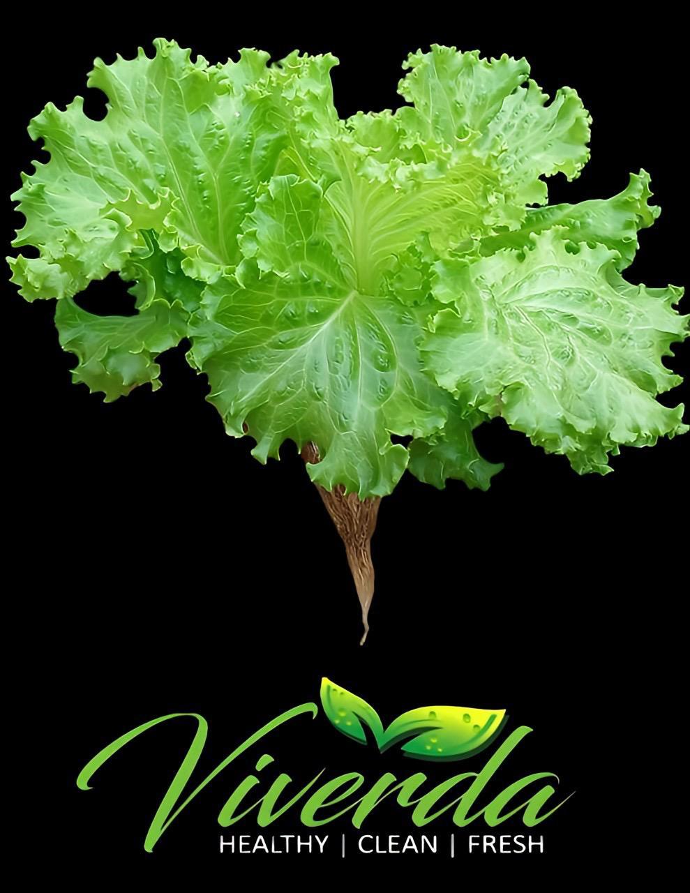 Kale