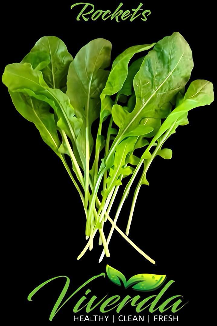 Rocket Leaves